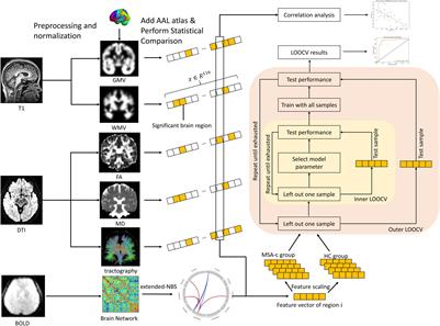 Altered Brain Volume, Microstructure Metrics and Functional Connectivity Features in Multiple System Atrophy